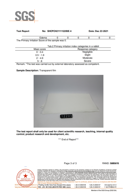 SGS Test Report